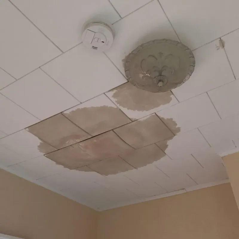 Ceiling Water Damage Repair in Crawford County, WI