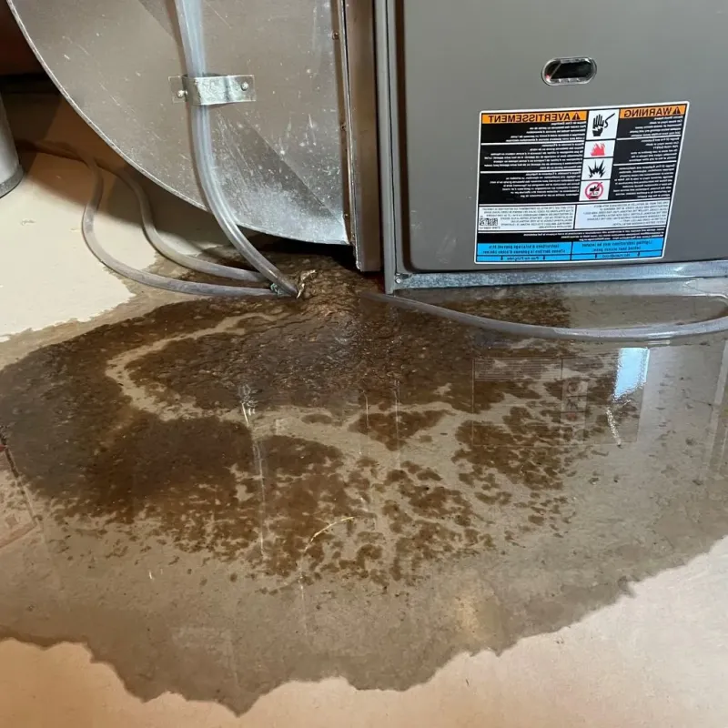 Pipe Burst and Leak Restoration in Crawford County, WI