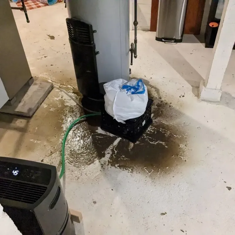 Sewage Backup Cleanup Service in Crawford County, WI